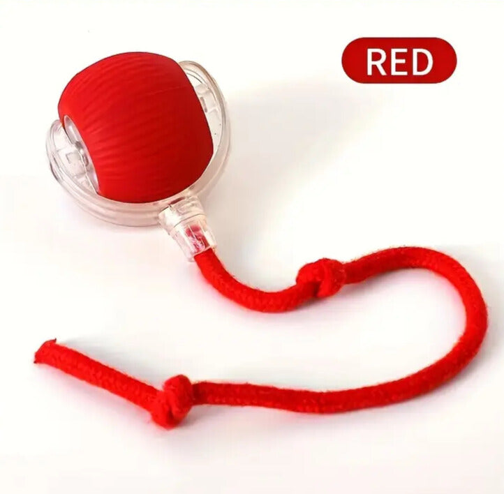 Self-Rolling Pet Ball